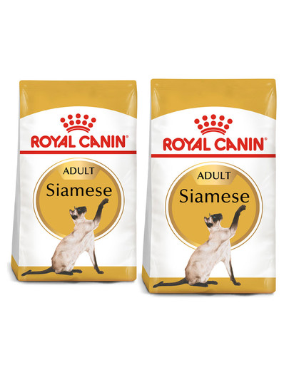 ROYAL CANIN Siamese Adult 20 kg (2 x 10 kg) karma sucha dla kotów dorosłych rasy syjamskiej