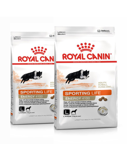 ROYAL CANIN Sporting L Life Agility 4100 karma sucha dla psów dorosłych, ras dużych, aktywnych 30 kg (2 x 15 kg)