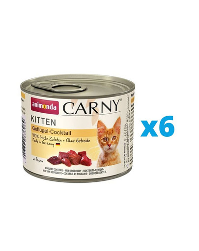 ANIMONDA Carny Kitten zestaw Koktajl Drobiowy 6 x 200 g
