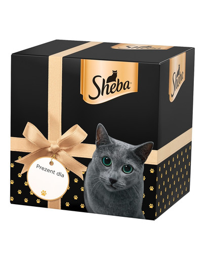 Pudełko świąteczne na prezent dla kota