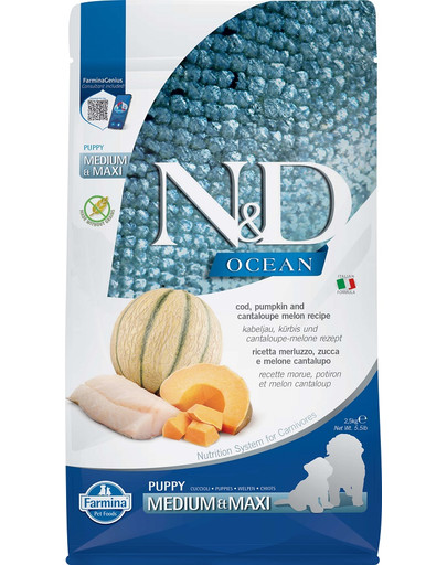 N&D Ocean Dog Puppy Medium & Maxi cod, pumpkin & cantaloupe melon 2.5 kg dorsz, dynia, melon kantalupa dla szczeniąt i suk w ciąży