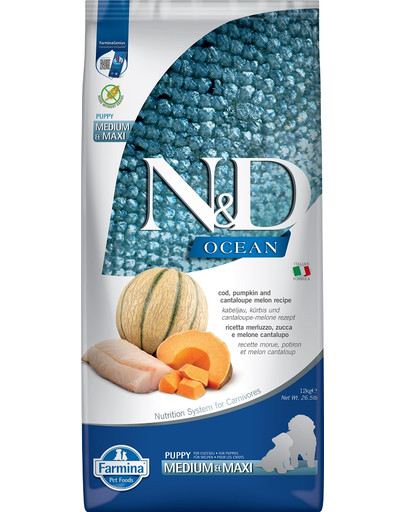 N&D Ocean Dog Puppy Medium & Maxi cod, pumpkin & cantaloupe melon 12 kg dorsz, dynia, melon kantalupa dla szczeniąt i suk w ciąży