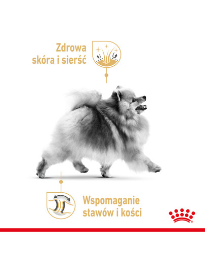 Pomeranian Adult 1.5 kg karma sucha dla psów dorosłych rasy szpic miniaturowy