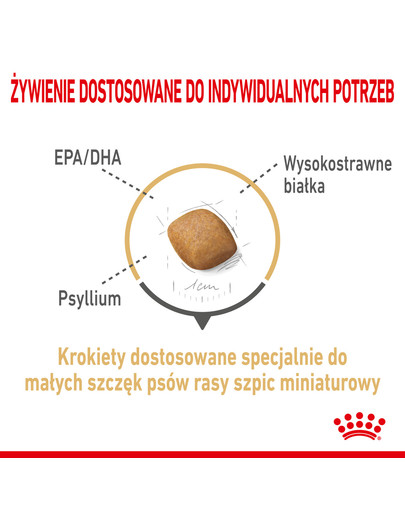 Pomeranian Adult 3 kg karma sucha dla psów dorosłych rasy szpic miniaturowy