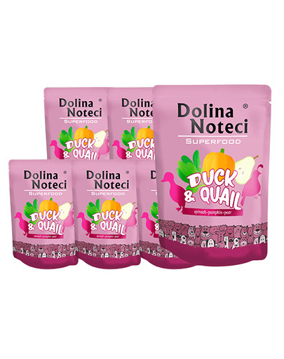 DOLINA NOTECI SuperFood Kaczka i przepiórka 10x300 g