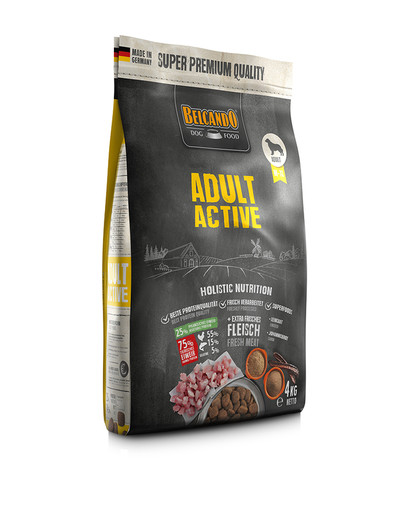 Adult Active 4 kg sucha karma dla psów o podwyższonej aktywności