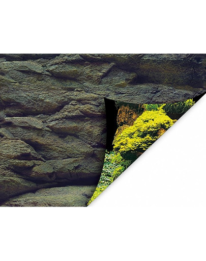 Dwustronne tło do akwarium S 60x30cm skały/rośliny