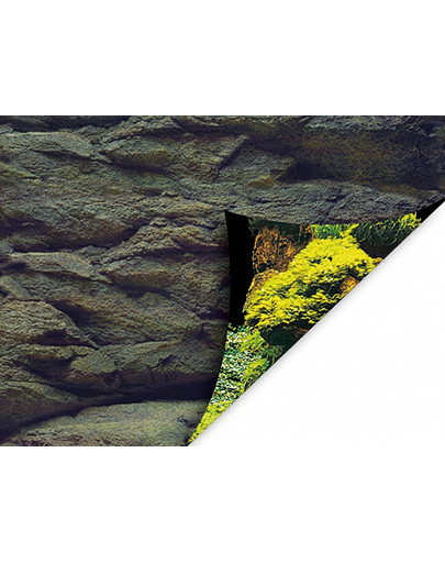 Dwustronne tło do akwarium L 100x50cm skały/rośliny