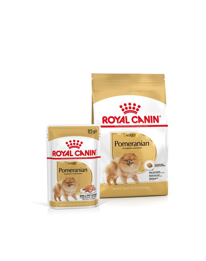 ROYAL CANIN Pomeranian Adult 1.5 kg karma sucha dla psów dorosłych rasy szpic miniaturowy + Pomeranian Adult 12x85g karma mokra