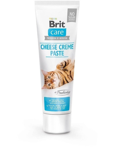 Care Cat Paste Cheese Creme & Prebiotics 100 g pasta z kremem serowym i prebiotykami