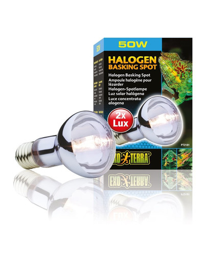 Exo Terra żarówka sun glo 50 W halogen