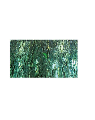 Tło do terrarium dwustronne tropic / bark
