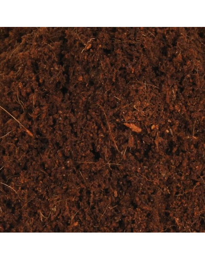 Coco soil tropic substrate produces 60 l