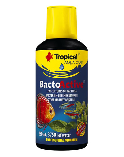 Bacto Active 250 ml