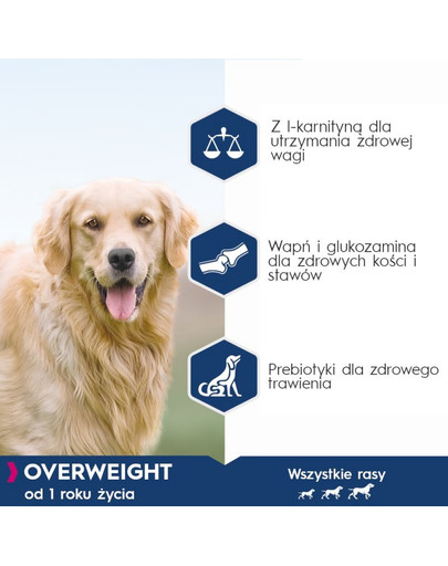 Daily Care Overweight Adult Dog 12 kg