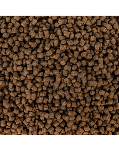 Sterlet basic M 3 l (1,5kg)