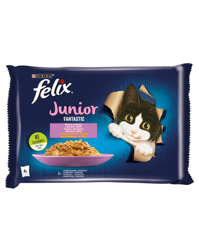 FELIX FANTASTIC Junior Mix smaków w galaretce (kurczak, łosoś) 48x85g mokra karma dla kociąt