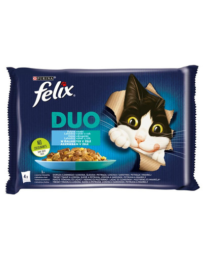 Duo Rybne Smaki w galaretce (dorsz czarny i łosoś, śledź i pstrąg, łosoś i sardynki, pstrąg i makrela) 48x85 g mokra karma dla kota