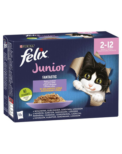 FANTASTIC Junior Mix smaków w galaretce (wołowina, kurczak, sardynka, łosoś) 72x85g mokra karma dla kociąt