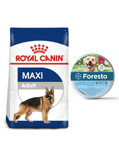 ROYAL CANIN Maxi Adult 15 kg karma sucha dla psów dorosłych, do 5 roku życia, ras dużych + BAYER FORESTO Obroża foresto dla psa przeciw kleszczom i pchłom powyżej 8 kg