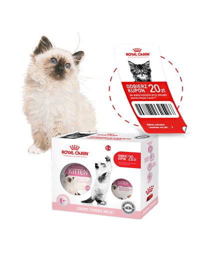 Wyprawka Kitten dla kociąt