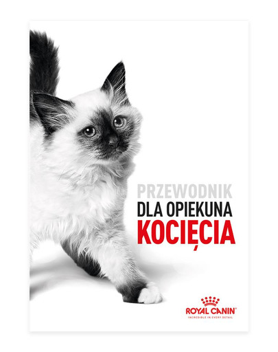 Wyprawka Kitten dla kociąt
