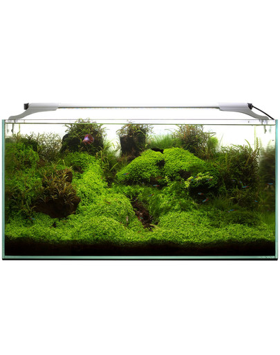 Leddy Slim 32W Plant 2.0 biały