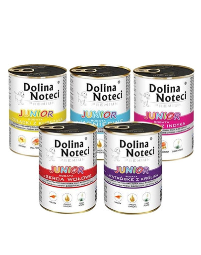 DOLINA NOTECI Junior Premium Mix smaków 18x400g