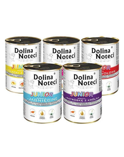 DOLINA NOTECI Premium Junior Mix smaków 12x400g