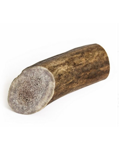 Antler dog chew gryzak z poroża jelenia XL