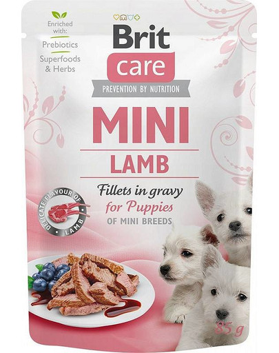 Care Mini Jagnięcina saszetki dla szczeniąt małych ras 24 x 85 g
