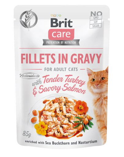 Care Fillets in gravy 24 x 85 g filety indyka i łososia w sosie