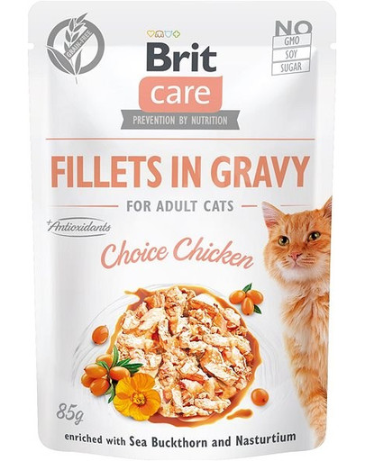 Care Fillets in gravy kurczak 24 x 85 g filety kurczaka w sosie