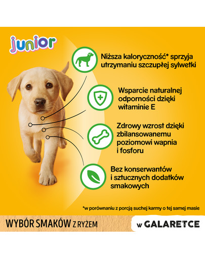 PEDIGREE Junior Wybór smaków z ryżem 12x100g saszetki w galaretce dla szczeniąt