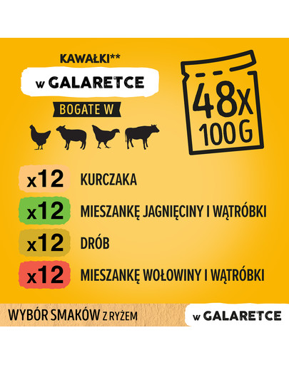 PEDIGREE Junior Wybór smaków z ryżem 12x100g saszetki w galaretce dla szczeniąt