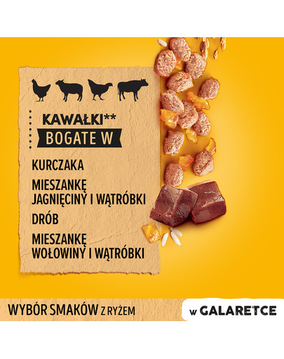 PEDIGREE Junior Wybór smaków z ryżem 12x100g saszetki w galaretce dla szczeniąt