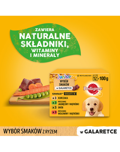 PEDIGREE Junior Wybór smaków z ryżem 12x100g saszetki w galaretce dla szczeniąt