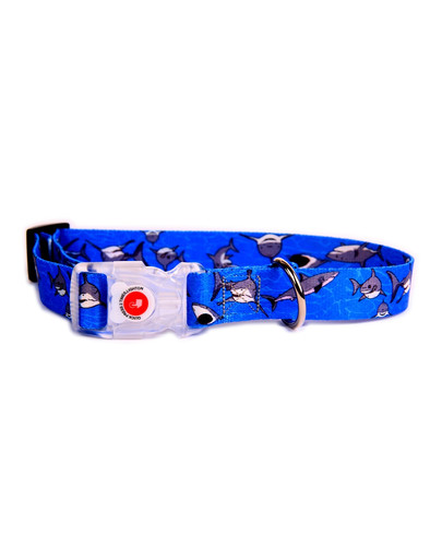 Obroża LED Shark 20-35 cm 20 mm