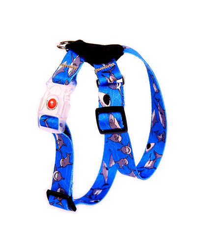 Szelki ze skórą LED Shark 36-60 cm 2 cm