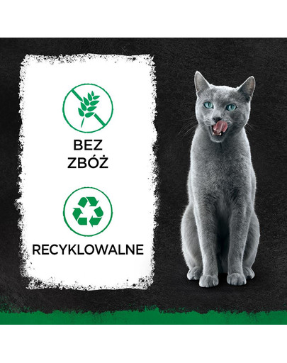 Nature's Collection 22 x 85 g w sosie z łososiem i groszkiem