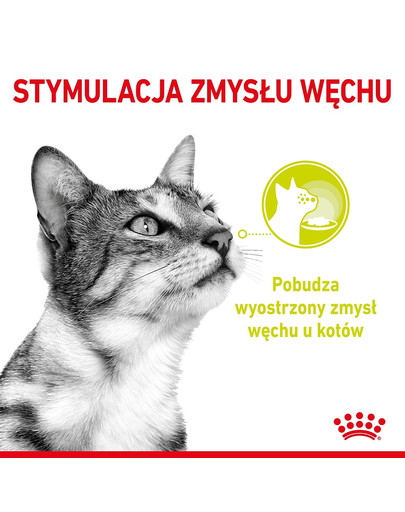 ROYAL CANIN Sensory Smell gravy 12x85 g kawałki w sosie dla kotów dorosłych pobudzające wrażenia węchowe