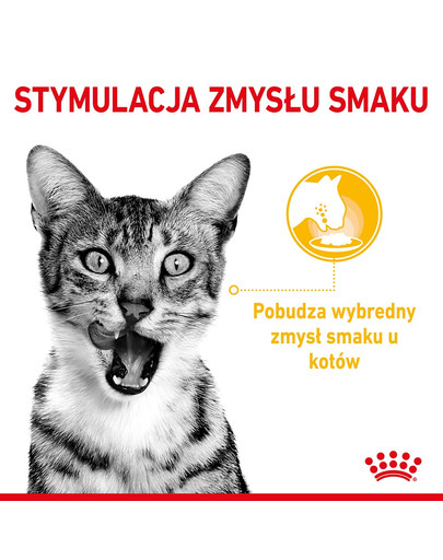 ROYAL CANIN Sensory Taste jelly 12x85 g kawałki w sosie dla kotów dorosłych pobudzające wrażenia smakowe