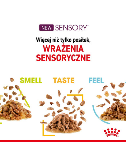 ROYAL CANIN Sensory Taste jelly 12x85 g kawałki w sosie dla kotów dorosłych pobudzające wrażenia smakowe