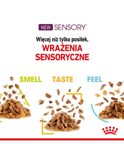 Sensory Smell, Taste, Feel kawałki w sosie dla kotów 12 x 85 g pobudzająca zmysły