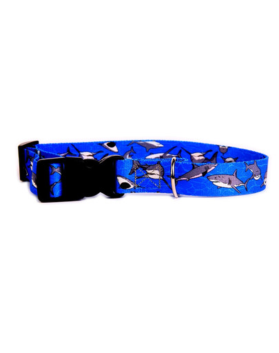 Obroża z zapięciem plastikowym Shark 24-40 cm 15 mm