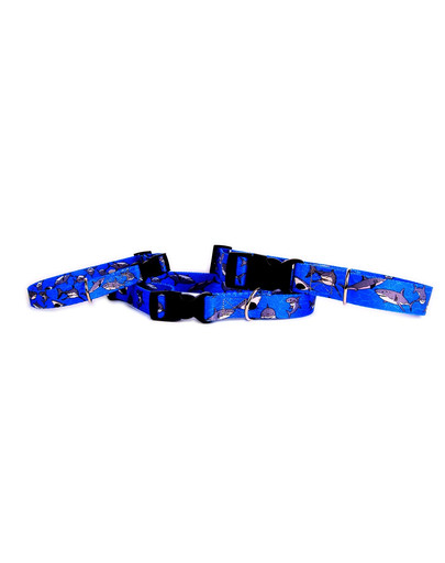 Obroża z zapięciem plastikowym Shark 24-40 cm 15 mm
