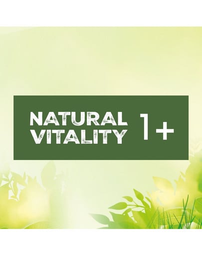 Natural Vitality z kurczakiem i indykiem dla dorosłych kotów 2,4 kg