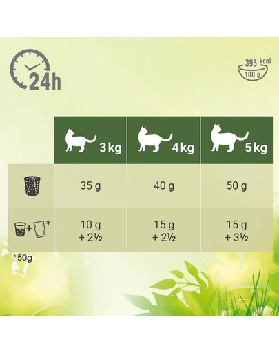 Natural Vitality z kurczakiem i indykiem dla dorosłych kotów 3 x 2,4 kg