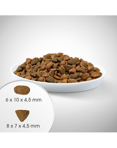 PERFECT FIT Indoor 1+ Bogata w kurczaka dla dorosłych kotów niewychodzących 7 kg