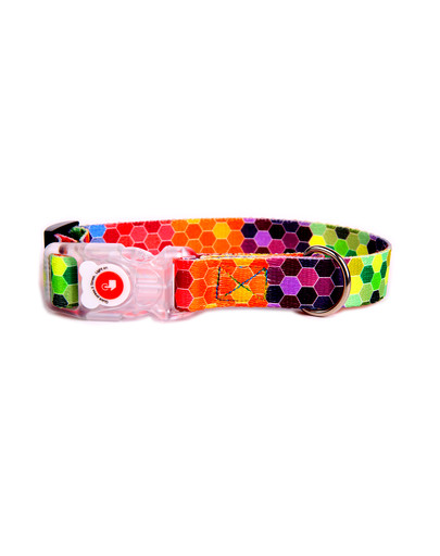 Octagon LED Obroża 20 mm (20-35 cm)